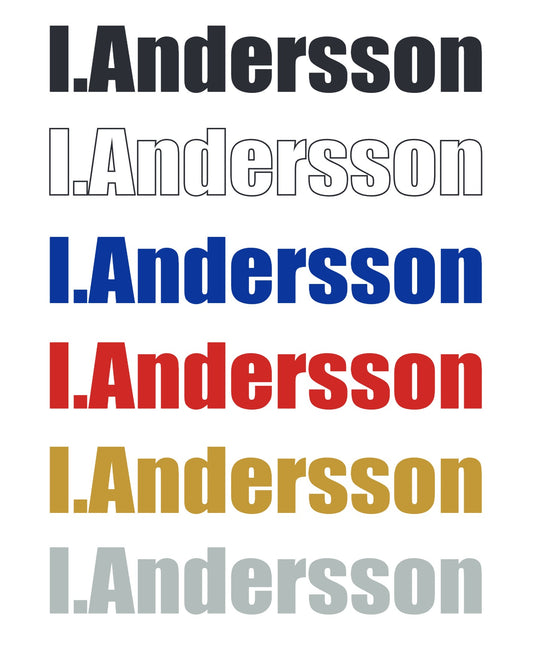 Personlig namndekal monterad på bilens sidoruta, perfekt för folkrace och rallybil