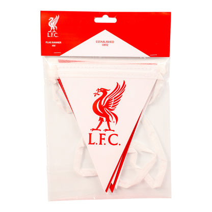 Liverpool - Vimpel 3.5m
