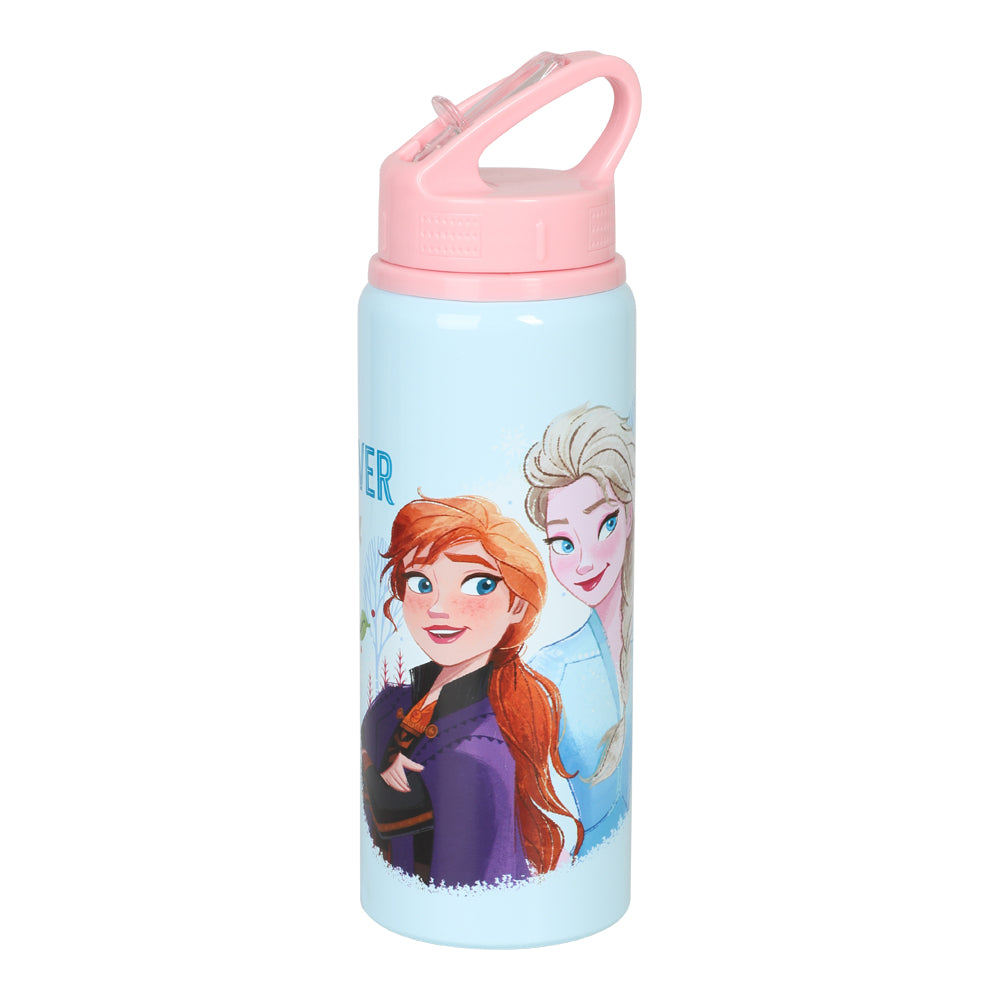 Frozen Vattenflaska 730ml
