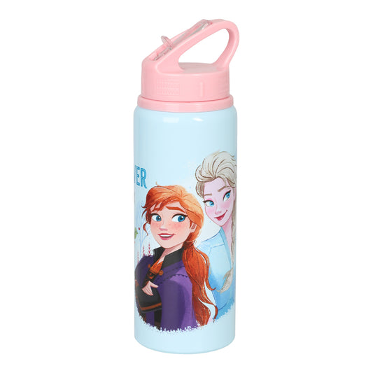 Frozen Vattenflaska 730ml