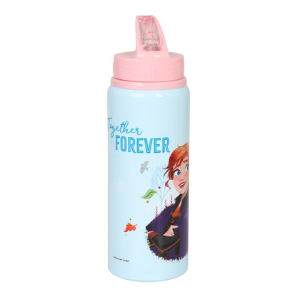 Frozen Vattenflaska 730ml